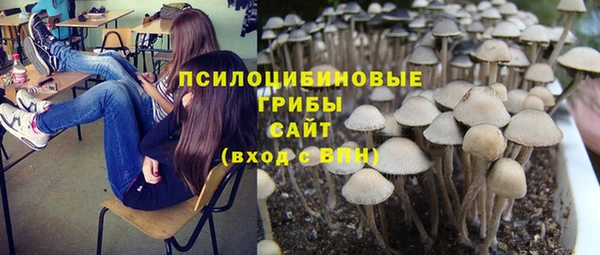 трава Касимов