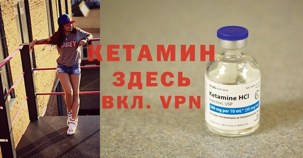 стаф Новозыбков