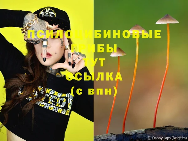 трава Касимов