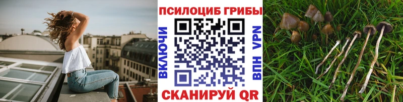 Галлюциногенные грибы Cubensis  Городище 