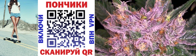 Шишки марихуана марихуана где найти наркотики Городище